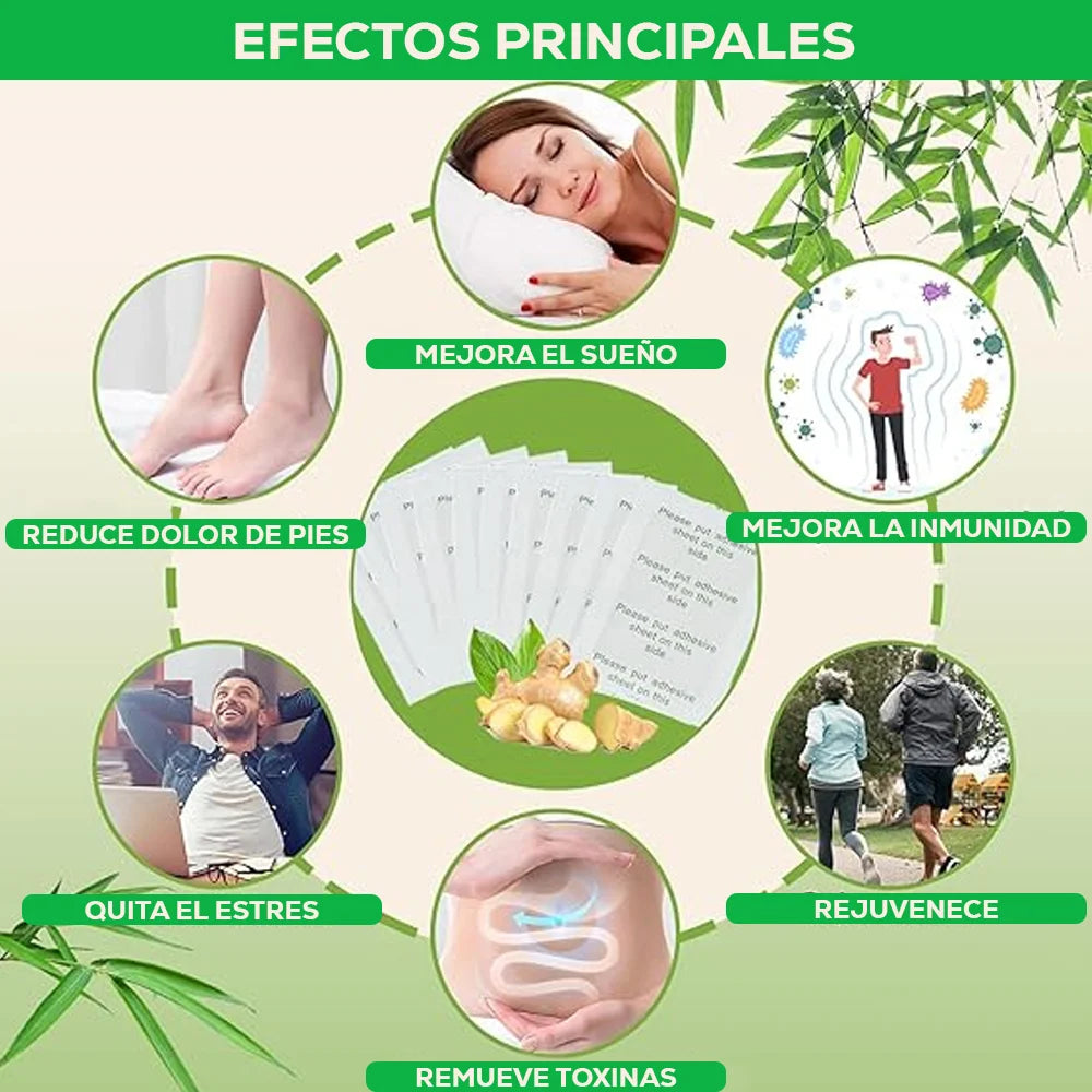 𝗣𝗿𝗼𝗺𝗼 𝟮𝗫𝟭 𝗩𝗶𝘁𝗮𝗗𝗲𝘁𝗼𝘅® – 𝗣𝗮𝗿𝗰𝗵𝗲𝘀 𝗱𝗲𝘀𝗶𝗻𝘁𝗼𝘅𝗶𝗰𝗮𝗻𝘁𝗲𝘀 𝗽𝗮𝗿𝗮 𝗹𝗶𝗺𝗽𝗶𝗲𝘇𝗮 𝘁𝗼𝘁𝗮𝗹